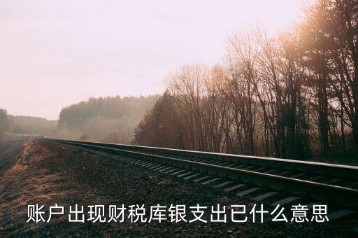 賬戶出現財稅庫銀支出已什么意思