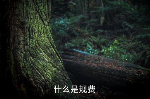 什么是規費
