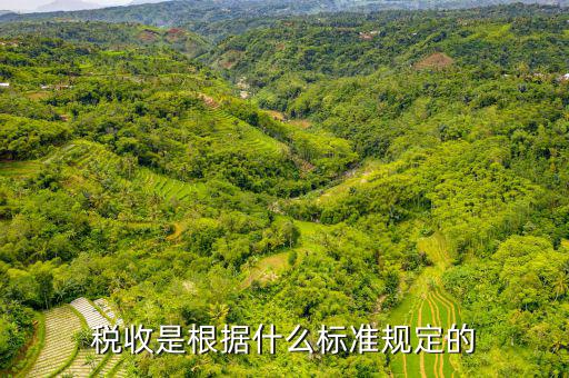 稅收是根據什么標準規定的