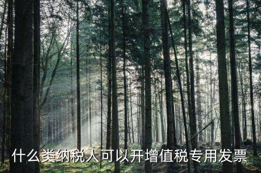 什么類納稅人可以開增值稅專用發票