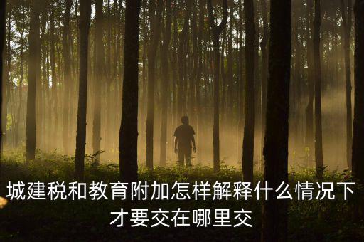 什么時候有教育費附加，子女教育專項附加扣除的起始時間