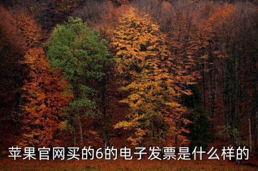 蘋果官網買的6的電子發票是什么樣的