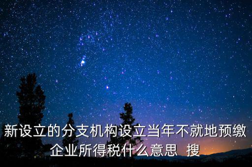 新設立的分支機構設立當年不就地預繳企業所得稅什么意思  搜