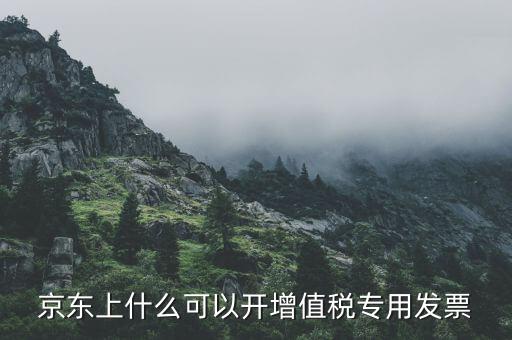 京東上什么可以開增值稅專用發票