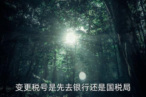 變更稅號屬于什么業務，公司變更稅號都要什么東西