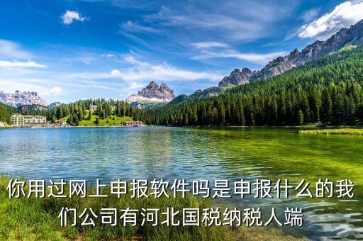 國稅人像采集是什么意思，你用過網(wǎng)上申報(bào)軟件嗎是申報(bào)什么的我們公司有河北國稅納稅人端