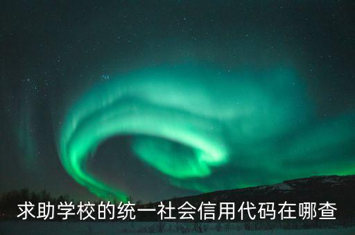 學校的社會信用代碼是什么東西，求助學校的統(tǒng)一社會信用代碼在哪查