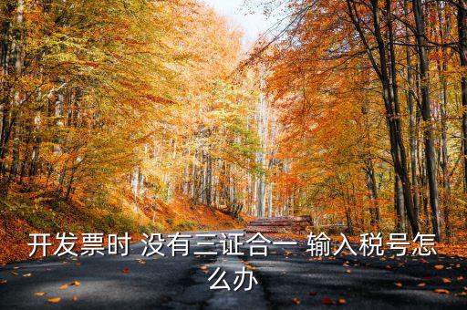 開發票時 沒有三證合一 輸入稅號怎么辦