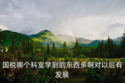 國稅有什么科室，國稅哪個(gè)科室學(xué)到的東西多啊對以后有發(fā)展