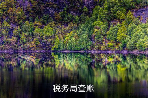 涉稅中介是什么意思，招標代理是什么意思