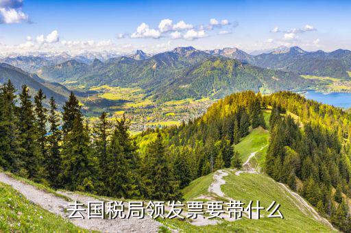 去國稅局領發票要帶什么