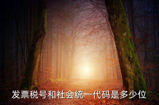 發票稅號和社會統一代碼是多少位