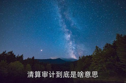 什么是申報清冊，電子稅務廳的重新獲取申報清冊是什么意思