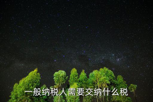 一般納稅人要報什么稅，一般納稅人需要交納什么稅