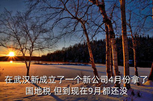 在武漢新成立了一個新公司4月份拿了國地稅 但到現在9月都還沒