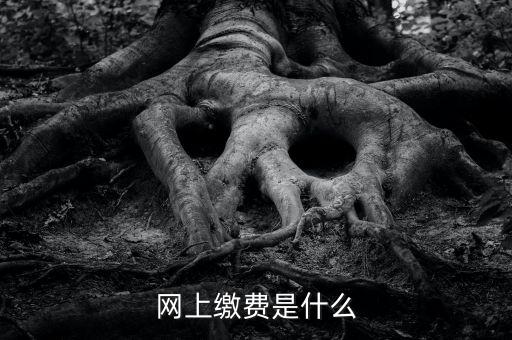 網上繳費是什么