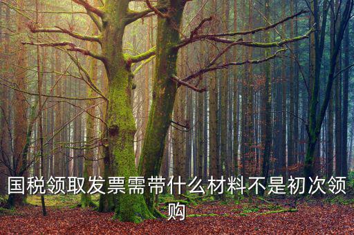 國稅領取發票需帶什么材料不是初次領購