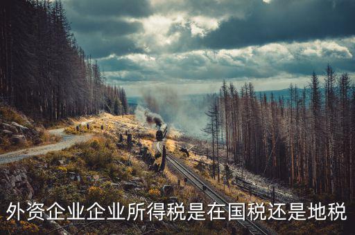 外資企業交什么稅，涉外企業應繳些什么稅