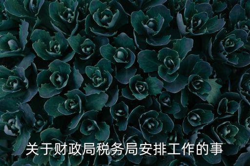 國稅局什么工作計(jì)劃，關(guān)于財(cái)政局稅務(wù)局安排工作的事