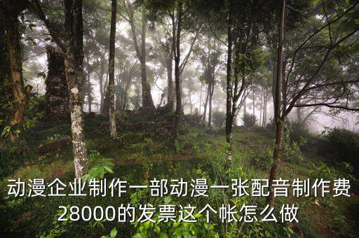 動漫企業制作一部動漫一張配音制作費28000的發票這個帳怎么做
