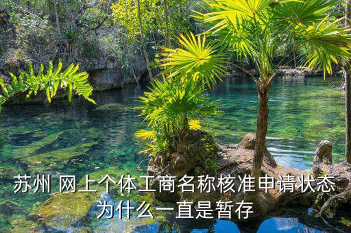 蘇州 網上個體工商名稱核準申請狀態為什么一直是暫存