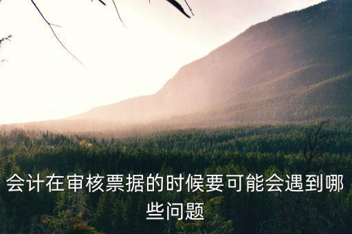 審核憑證會出什么問題，在審核憑證時出現這個問題是怎么回事