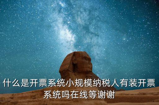 什么是開票系統小規模納稅人有裝開票系統嗎在線等謝謝