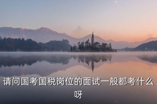 國稅標兵人才考什么，國稅通用能力測試考什么