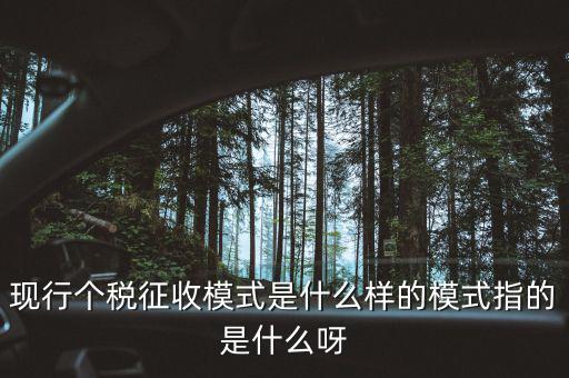 個人征稅系統是什么，你好補交個稅在稅局系統怎樣操作