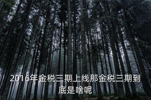 國稅金稅三期是什么意思，金稅三期是什么意思