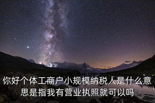 你好個體工商戶小規模納稅人是什么意思是指我有營業執照就可以嗎