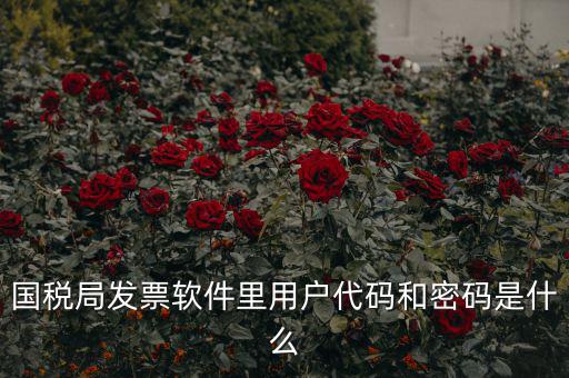 國稅局發票軟件里用戶代碼和密碼是什么