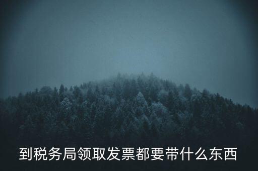 到稅務局領取發票都要帶什么東西