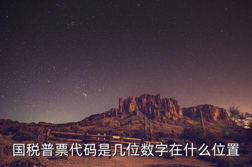 國稅普票代碼是幾位數字在什么位置