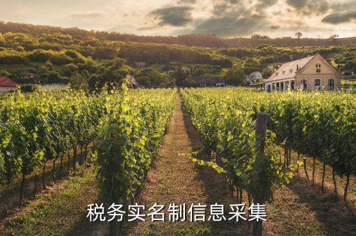 實名采集需要什么資料，實名制驗證身份證信息采集有沒有這種身份證證件識別方式  搜