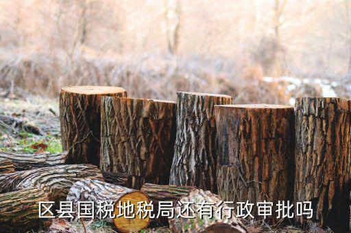 區縣國稅地稅局還有行政審批嗎