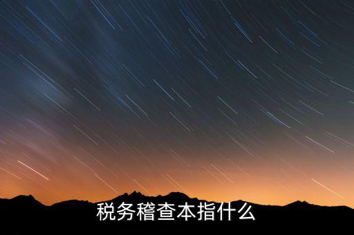 什么是稅務稽查協查，稅務稽查本指什么