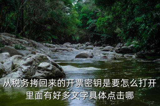 稅務密鑰是什么，增值稅專用發票辦理秘鑰是什么意思