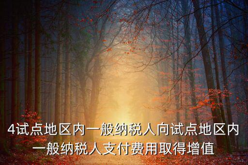 4試點地區內一般納稅人向試點地區內一般納稅人支付費用取得增值