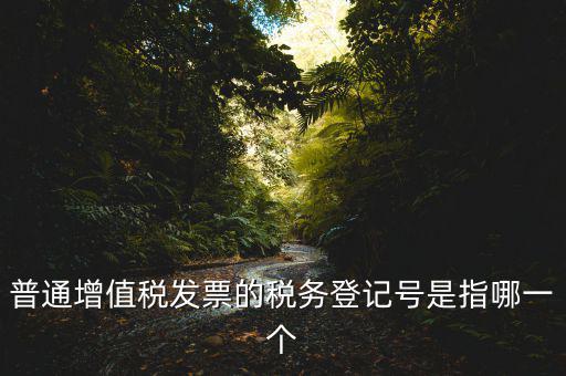 普通增值稅發票的稅務登記號是指哪一個