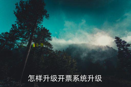 開票用什么軟件升級，怎樣升級開票系統升級