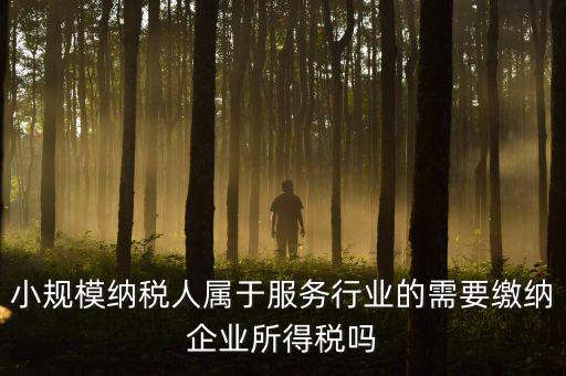 小規模納稅人屬于服務行業的需要繳納企業所得稅嗎