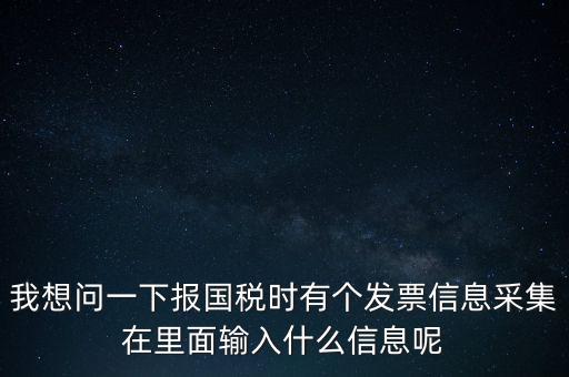 我想問一下報國稅時有個發票信息采集在里面輸入什么信息呢