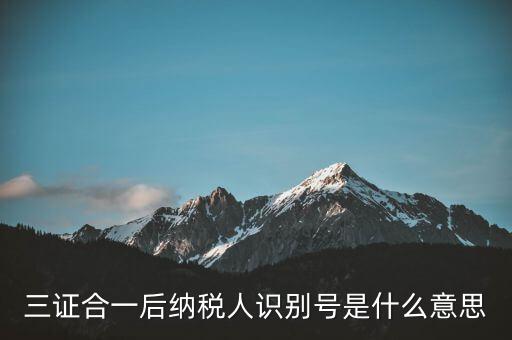 三證合一稅務識別號是什么意思，三證合一后納稅人識別號是什么意思