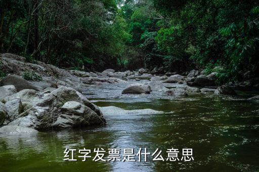 紅字發票是什么意思