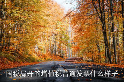 國稅局開的增值稅普通發票什么樣子