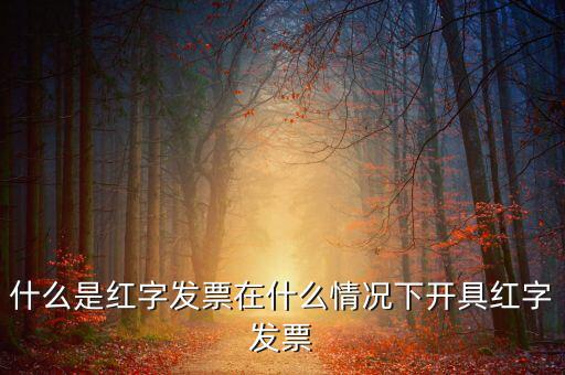 什么是紅字發票在什么情況下開具紅字發票