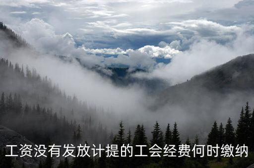 工資沒有發放計提的工會經費何時繳納