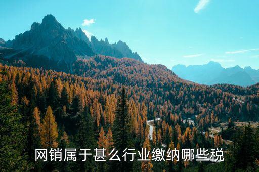 網銷屬于甚么行業繳納哪些稅