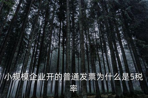 小規模企業開的普通發票為什么是5稅率